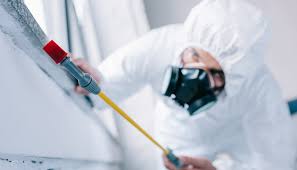 Best Residential Pest Control  in Olathe, KS